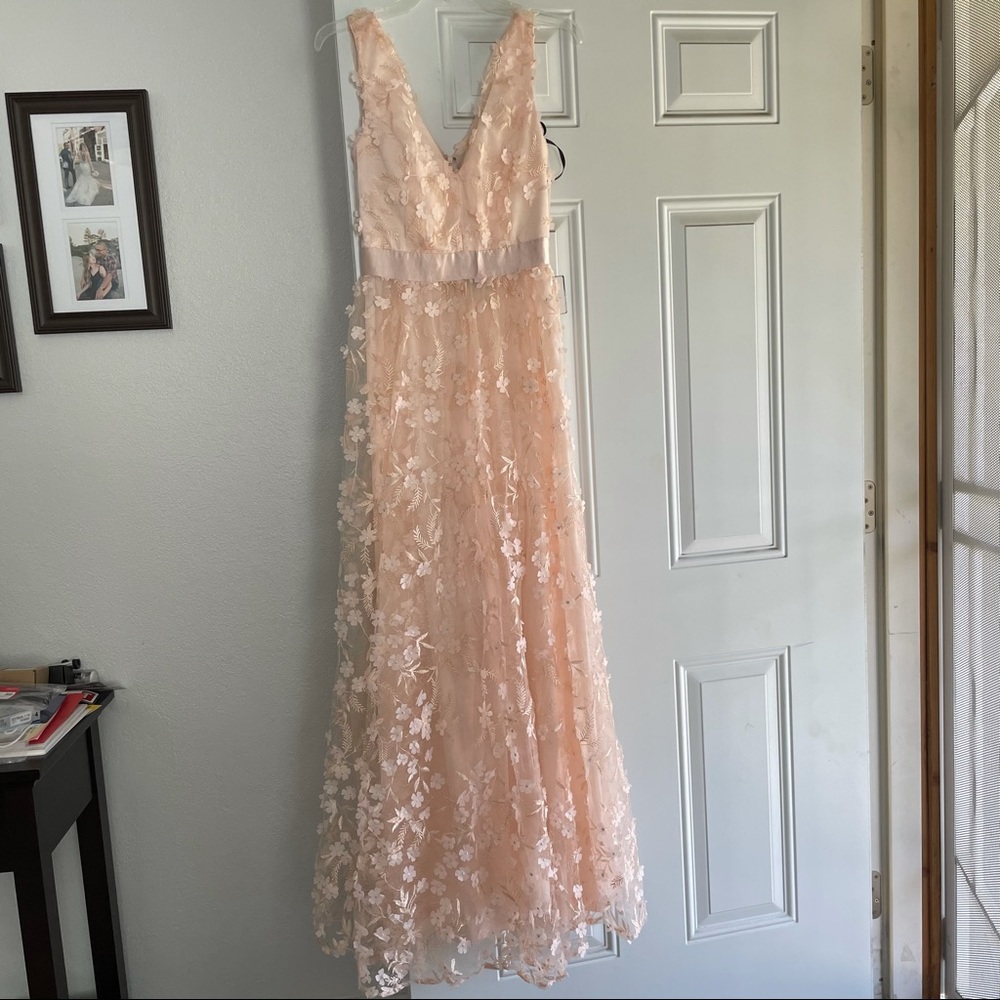 Blush Floral Pink Lace Dress